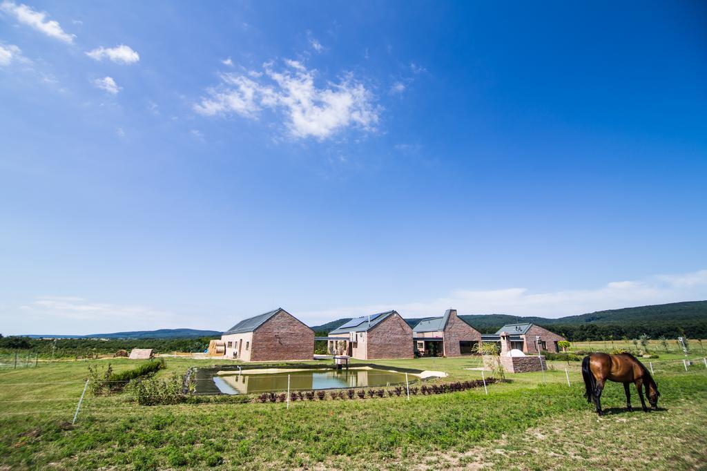 Oeregtoelgy Vendeghaz Szár Exterior foto
