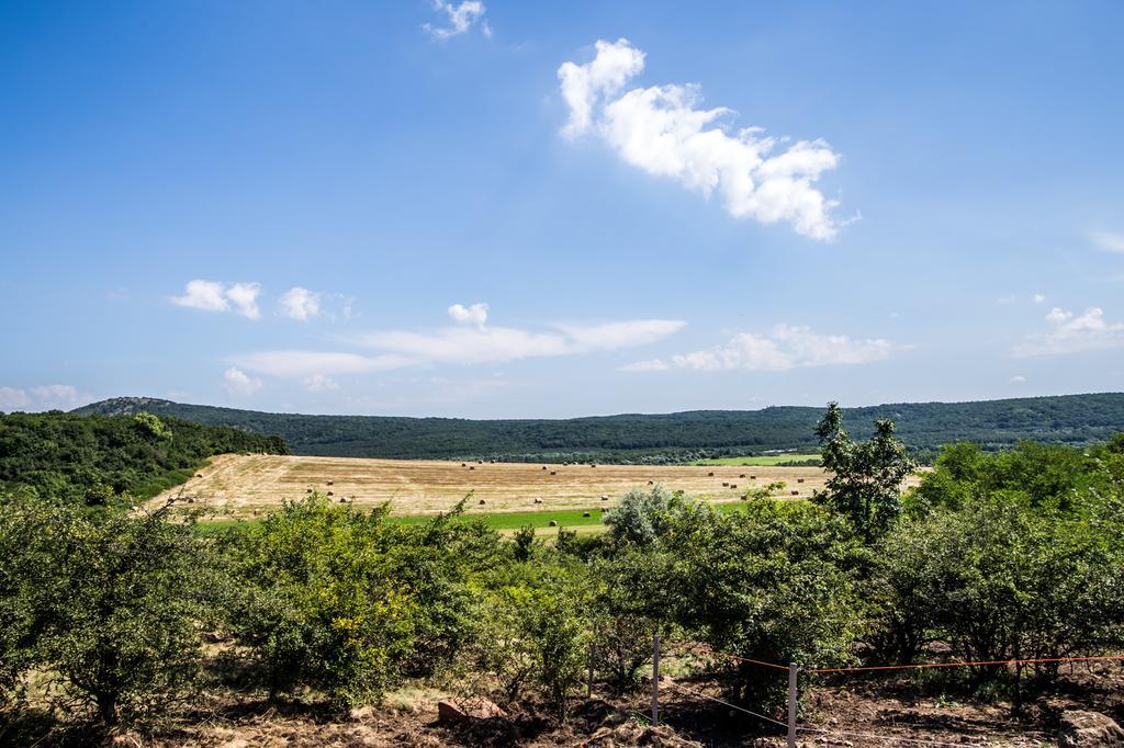 Oeregtoelgy Vendeghaz Szár Exterior foto